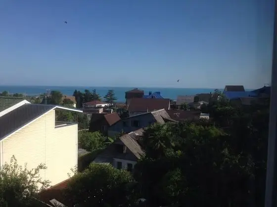 Letni Dagomis