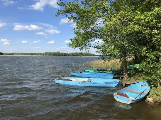 Letniskowa 24 Ogonki - Oda