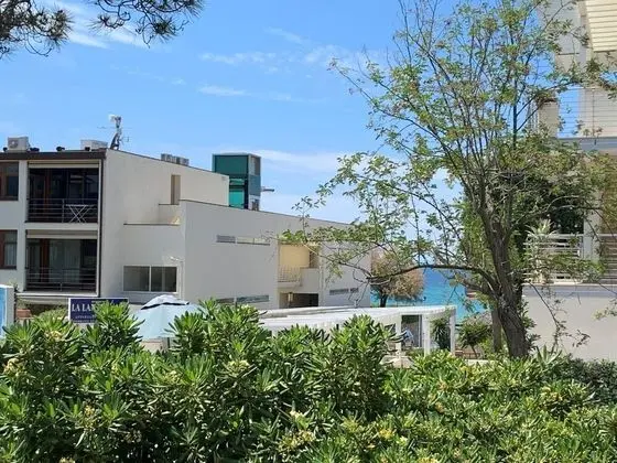 Levante San Vincenzo - Oda