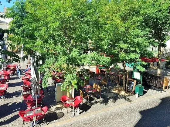 L'hôtel du Café des Arts - Dış Mekan