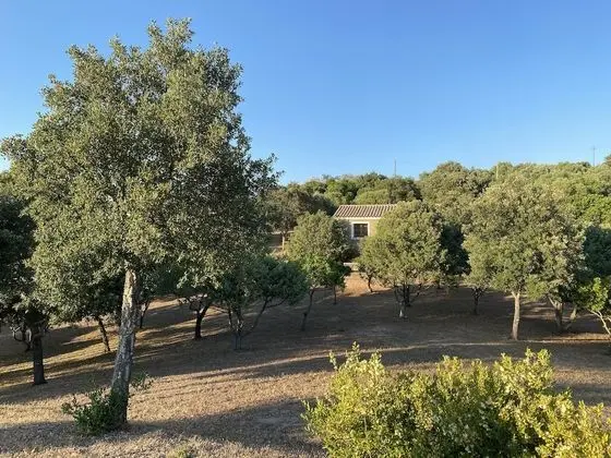 Li Paduleddi Country Guest House