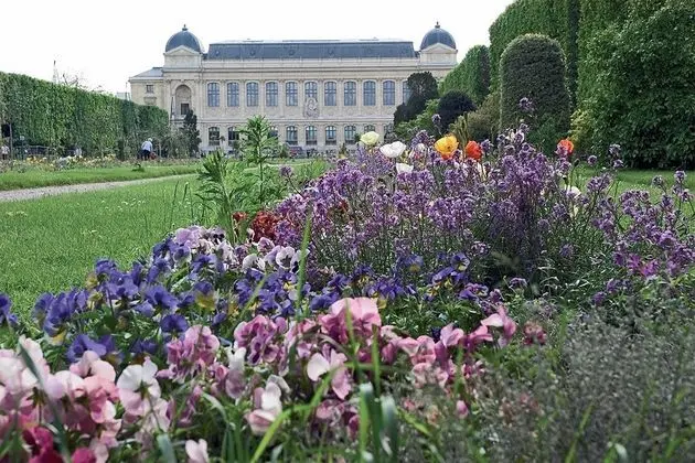 Libertel Austerlitz Jardin des plantes - Genel