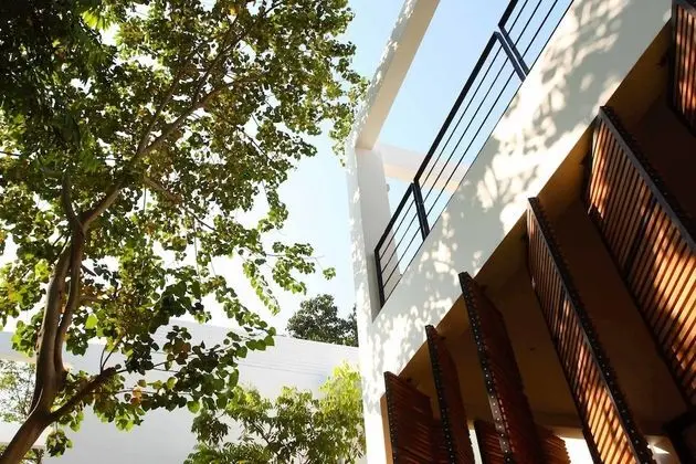 The Library - Dış Mekan