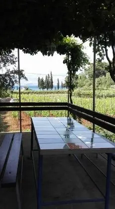 Lidija - Robinson House - H - Oda