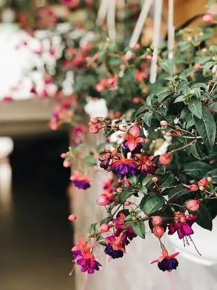 Lien Son Hotel Da Lat - Dış Mekan