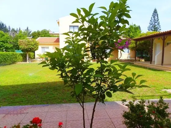 Light & Blue Gardens Apartments - Dış Mekan