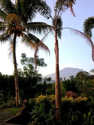 Villa Lihat Sawah - Dış Mekan