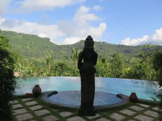Villa Lihat Sawah - Havuz