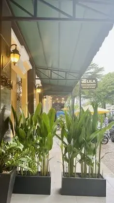 LILA Hotel & Apartments - Lobi