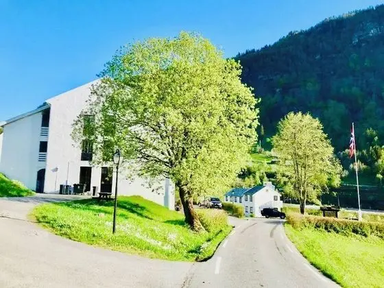 Lilandtunet Apartments Voss - Dış Mekan