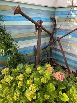 Hotel Lilia 2 - Dış Mekan