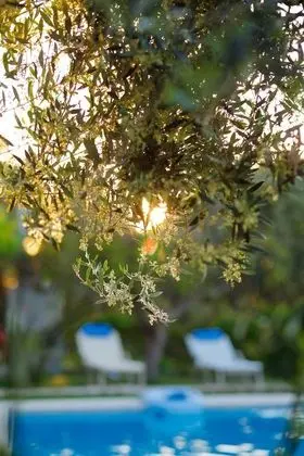 Lily's cottage, secluded, sea view villa with private pool and gardens. 1062101 - Havuz