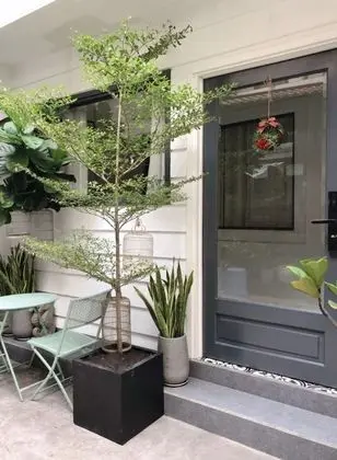 Lily's Hostel