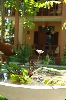 Lime Cabanas Sri Lanka - Dış Mekan