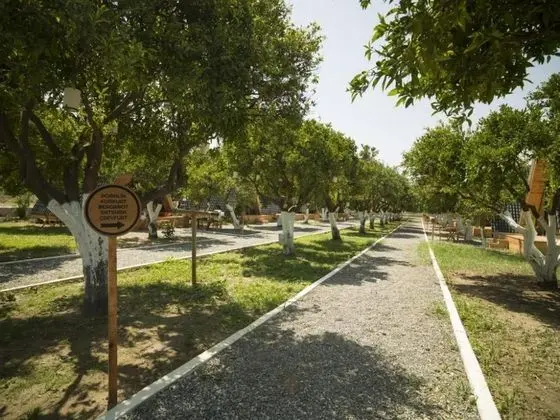 Limon Datça