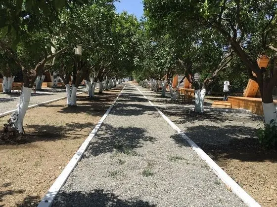 Limon Datca - Dış Mekan