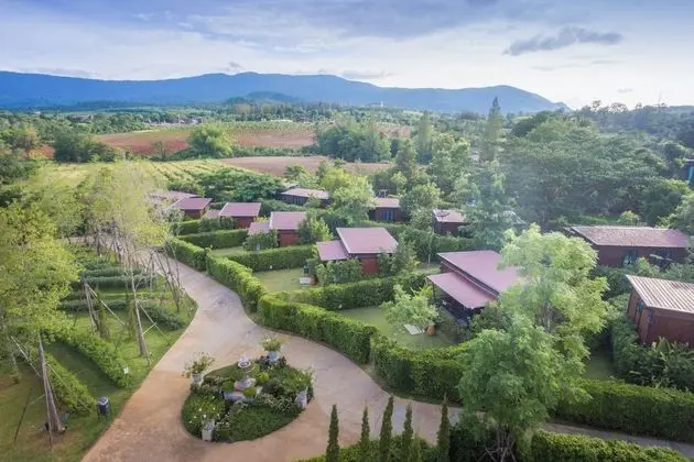 Limoncello Lazy Valley Khao Yai