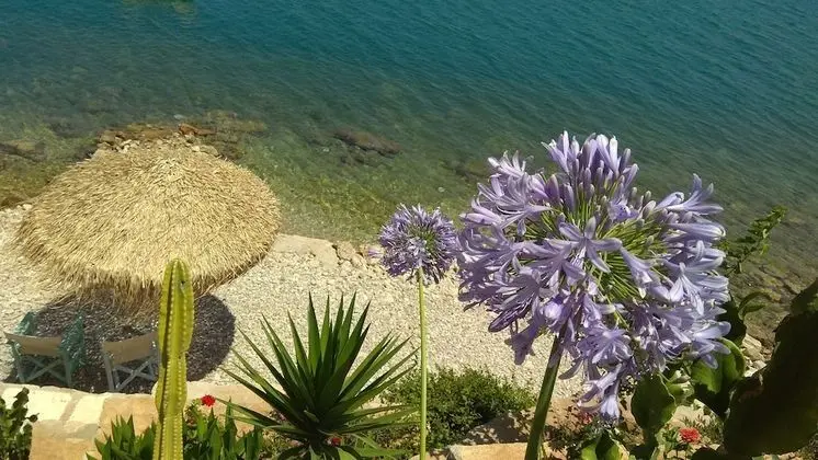 Linamare - Dış Mekan