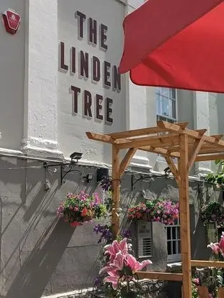 The Linden Tree - Dış Mekan