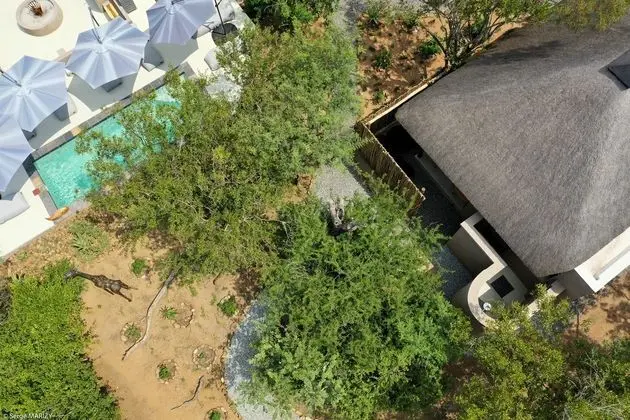 Lindiwe Safari Lodge - Oda