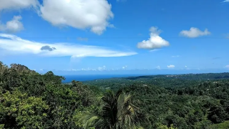 The Lion House Jamaica - 1