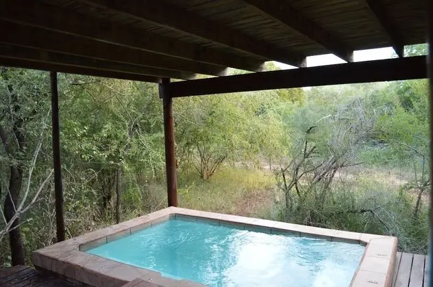Lion Tree Bush Lodge - Havuz