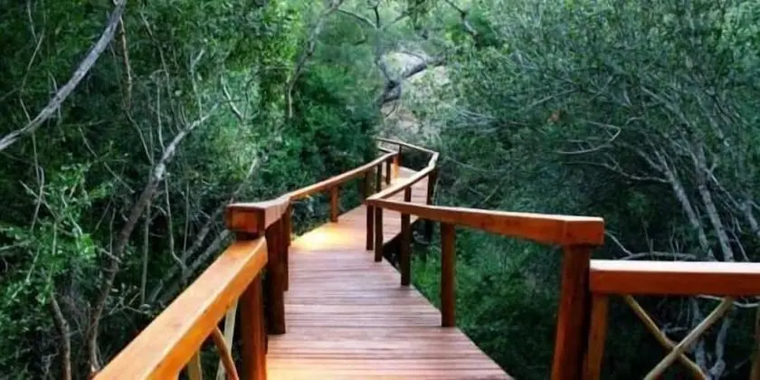 Lion Tree Top Lodge - Dış Mekan
