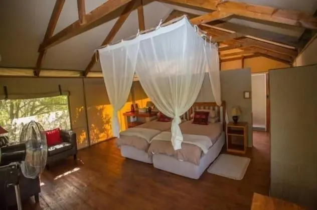 Lion Tree Top Lodge - Oda