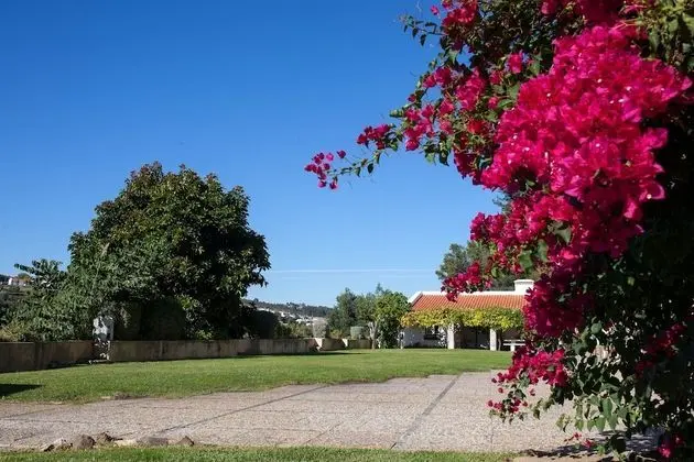 Lisbon Country Villa - Dış Mekan