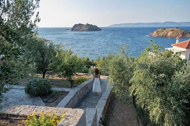 Little Bird - Dış Mekan