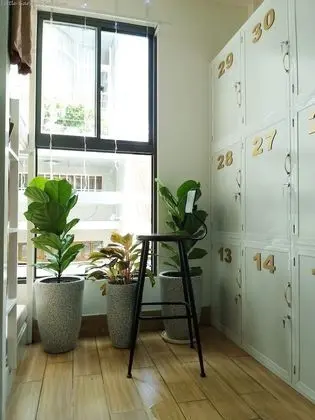 Little Garden Hostel - Lobi