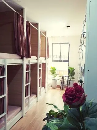 Little Garden Hostel - Oda