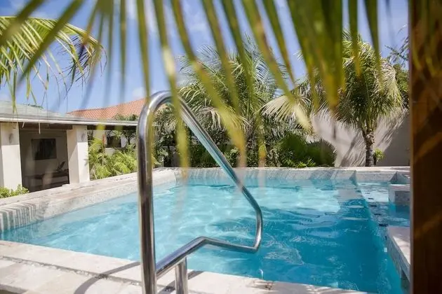 Little Jungle Apartments Aruba - Havuz