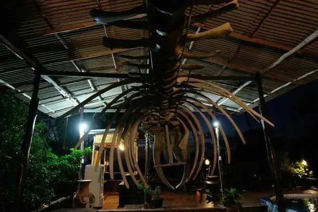 Little Hotel Koh Tao - İç Mekan