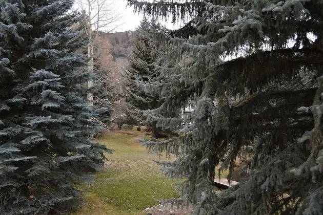 Little Nell Condos by iTrip Vacations Aspen Snowmass - Dış Mekan