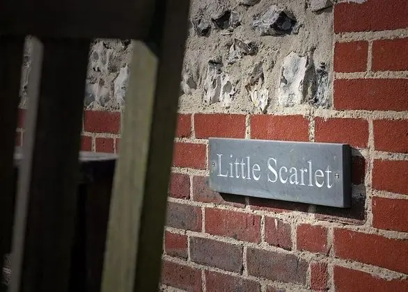 Little Scarlet