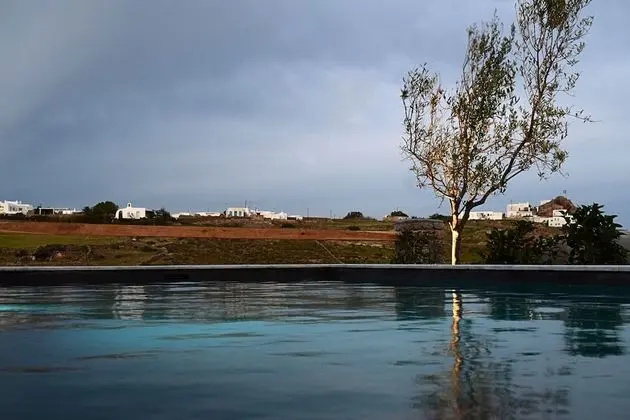 Livadi House Mykonos - Havuz