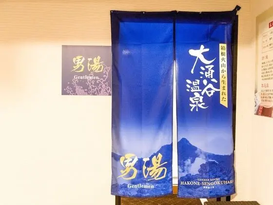 Livemax Resort Hakone Sengokuhara - Spa