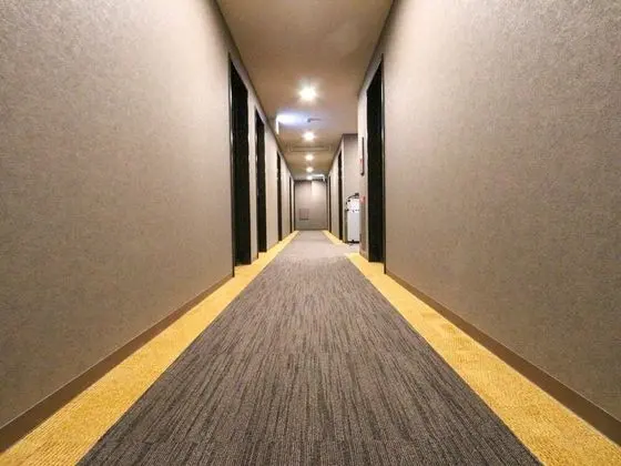 HOTEL LiVEMAX Mikawaanjo Ekimae - İç Mekan