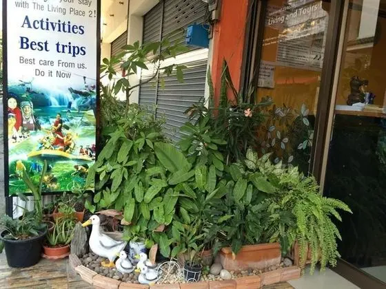The Living Place 2 - Hostel - Dış Mekan
