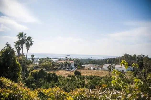 Living Stone Pension - Oda Manzaraları