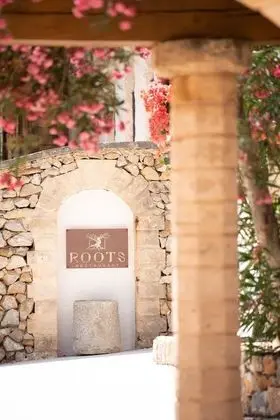 LJs Ratxo Eco Luxury Retreat - Dış Mekan