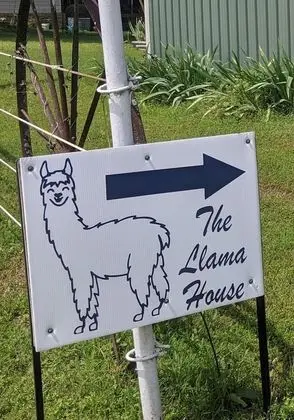Llama House - Dış Mekan