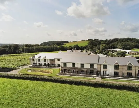 Llanerch Vineyard