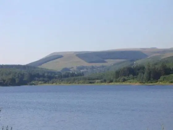 Llwyn Onn Guest House