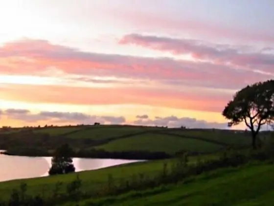 Llysyfran Farm B&B - 1
