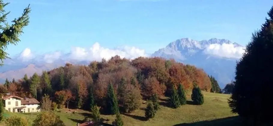 Lo Chalet - Dış Mekan