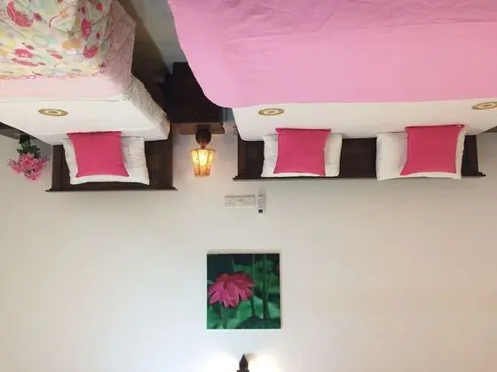 Lo hostel - Oda Manzaraları