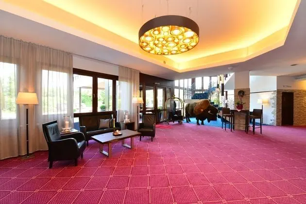 Lobinger-Parkhotel - Lobi