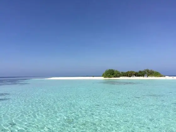 Local Travel Beach